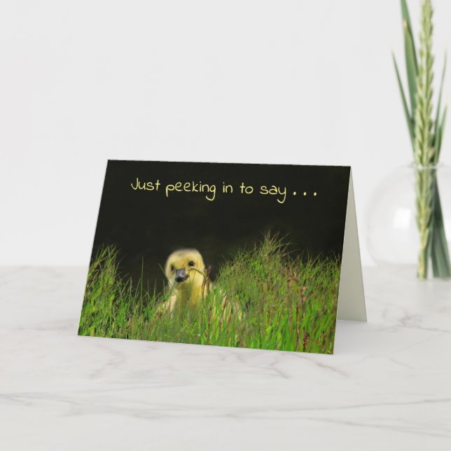 Baby Bird Little Gosling Birthday Card (Front)