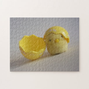 Baby Bird Puzzle