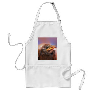 Baby Bird Standard Apron