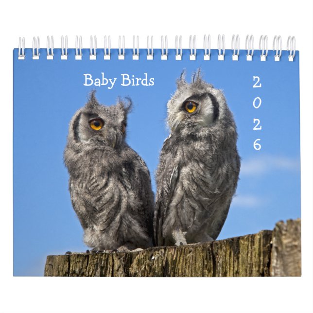 Baby Birds Calendar (Cover)