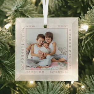 Baby Birth Stats White Snowflake Photo Frame Glass Tree Decoration