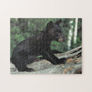 Baby Black Bear Cub Jigsaw Puzzle