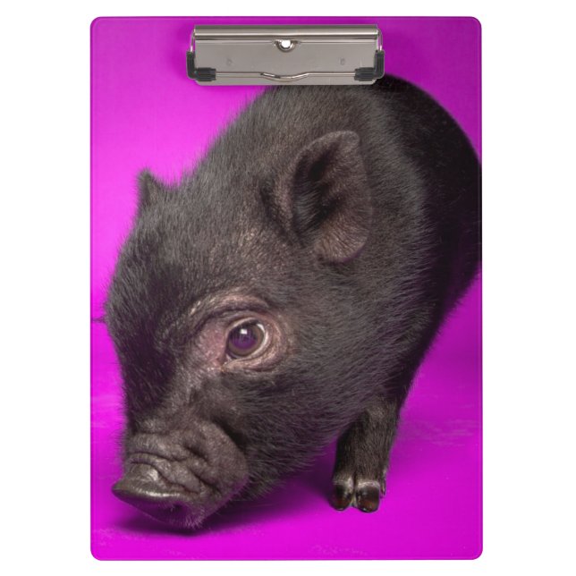 Baby Black Pig Clipboard (Front)
