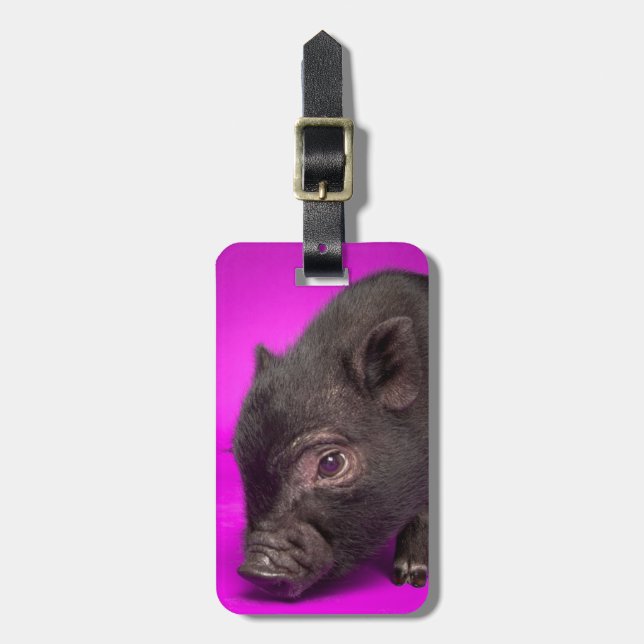 Baby Black Pig Luggage Tag (Front Vertical)