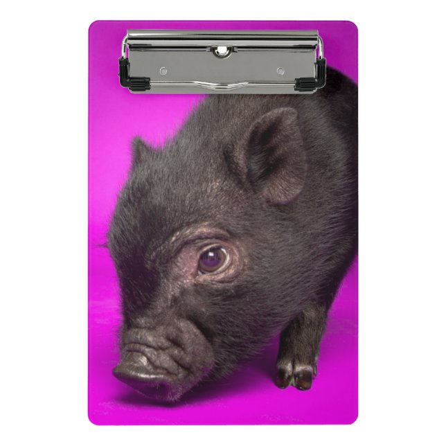Baby Black Pig Mini Clipboard (Front)