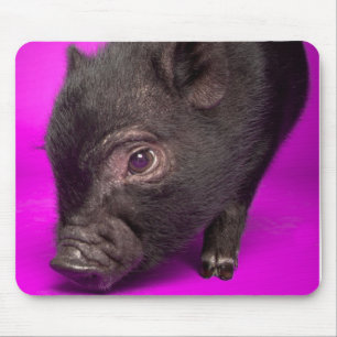 Baby Black Pig Mouse Mat