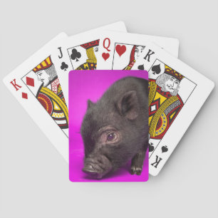 Baby Black Pig Playing Cards