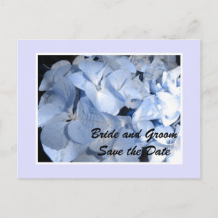 Baby Blue Hydrangea Save the Date Announcement Postcard
