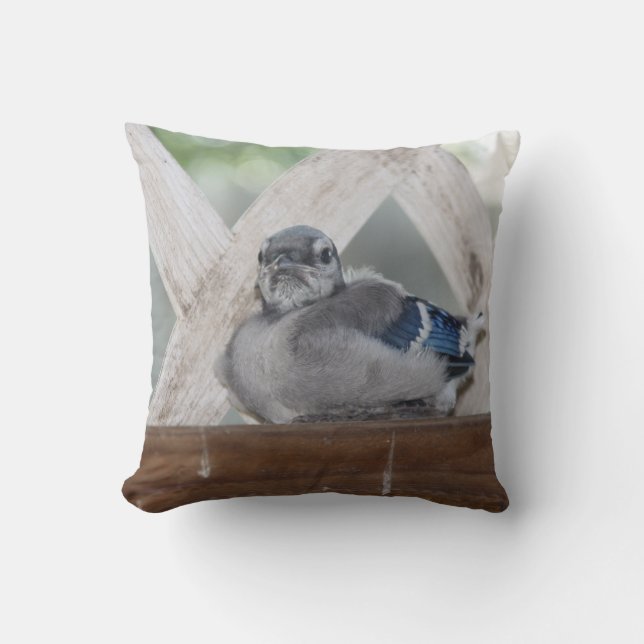 Baby Blue Jay Pillow (Front)