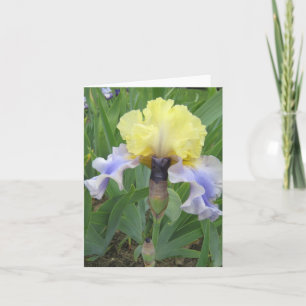 Baby Blue Yellow Small Blank Note Card