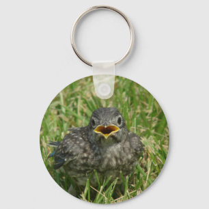 Baby Bluebird Key Ring