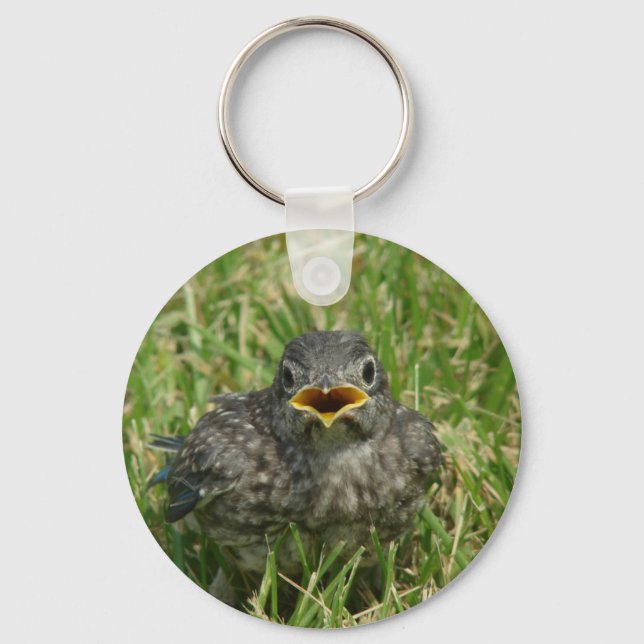 Baby Bluebird Key Ring (Front)