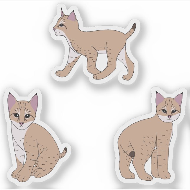 Baby Bobcats (Front)