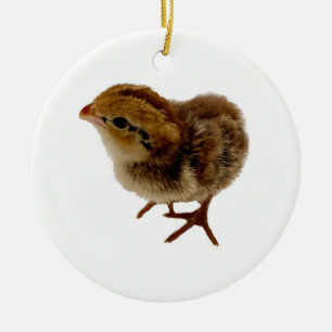Baby Bobwhite Quail Ceramic Tree Decoration