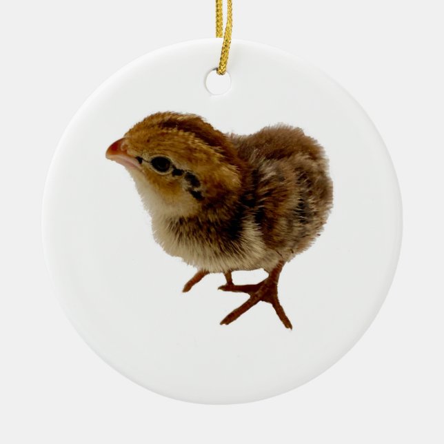Baby Bobwhite Quail Ceramic Tree Decoration (Front)