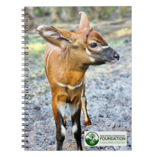 Baby Bongo Notebook