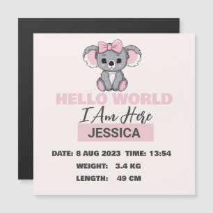 Baby Born Details Pink Koala