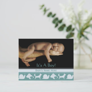 Baby Boy Announcement Postcard