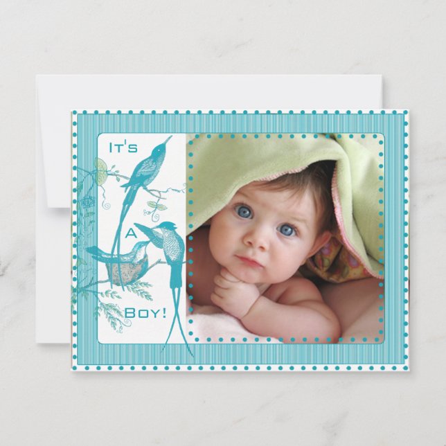 Baby Boy Aqua Vintage Birds Picture Announcement (Front)