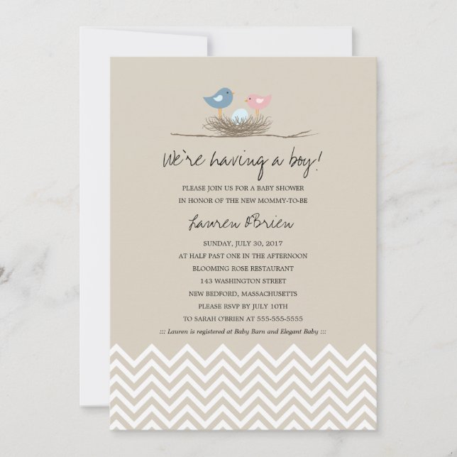 Baby Boy Bird's Nest Baby Shower Invitation (Front)