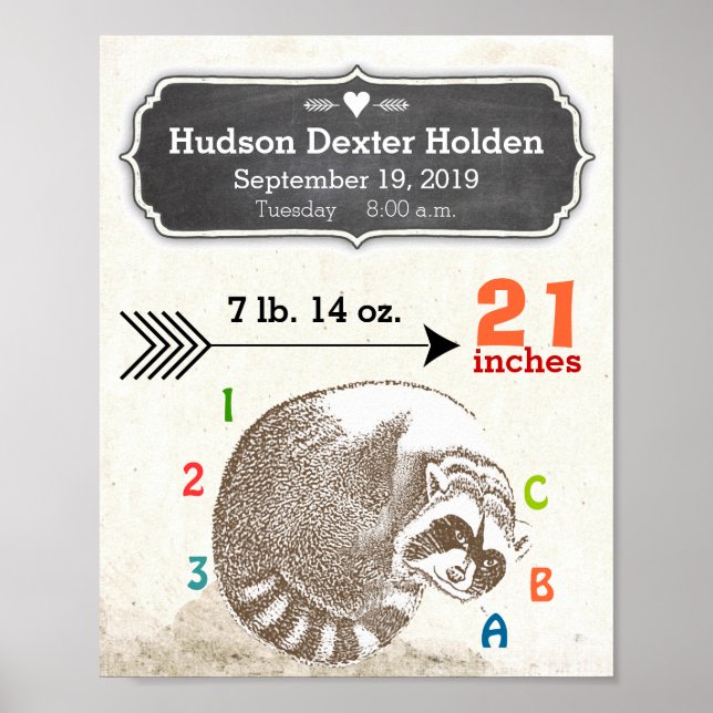 Baby Boy Birth Stats Cute Racoon and Arrow Poster (Front)