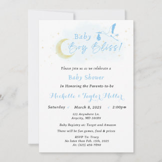 Baby Boy Bliss Stork Special Delivery Invitation