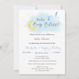 Baby Boy Bliss Stork Special Delivery Invitation