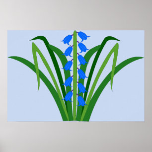 Baby Boy Bluebell Flowers Spring Poster