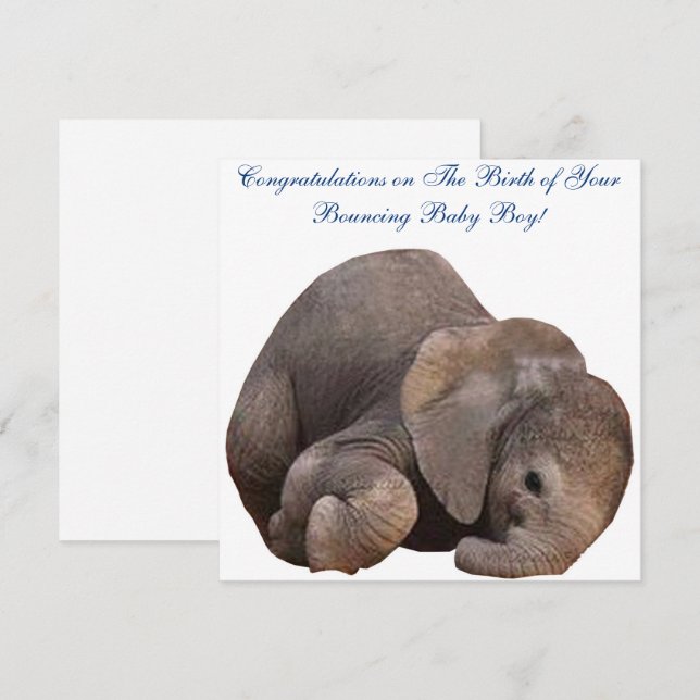 Baby Boy Congratulations Birth Card (Front/Back)