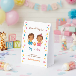 Baby Boy Girl Gender Reveal Party