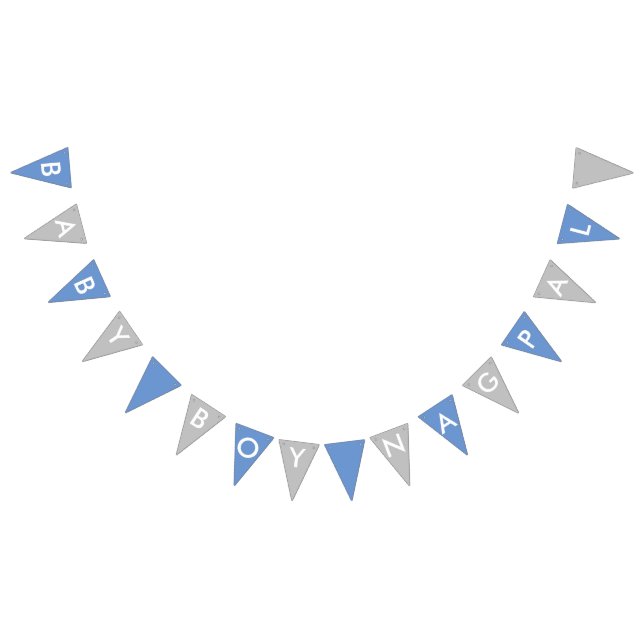 Baby Boy Nagpal Blue and Silver Banner (All)