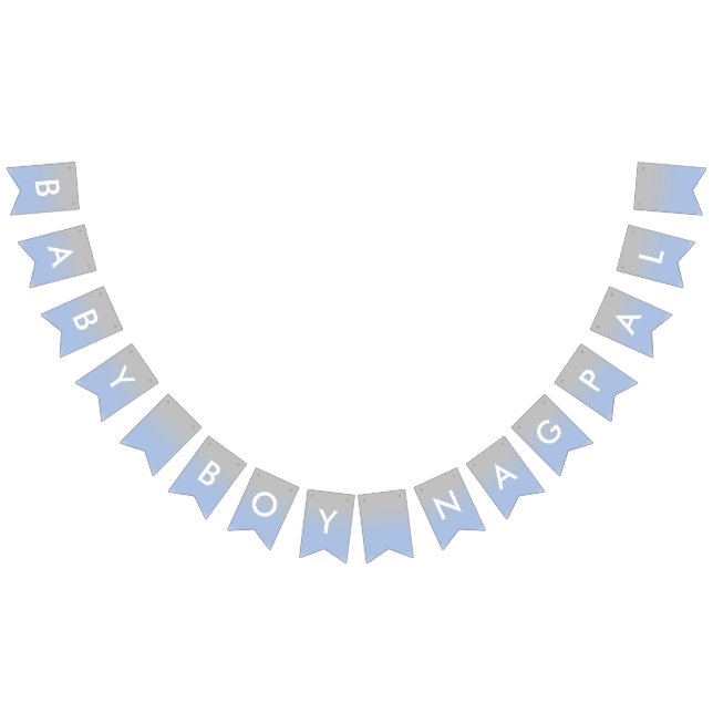 Baby Boy Nagpal Ombre Blue and Silver Banner (All)