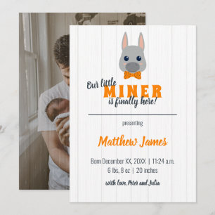 Baby Boy Orange Donkey Vertical Baby Announcement