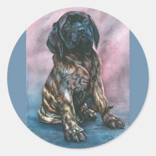Baby Brindle Mastiff Classic Round Sticker