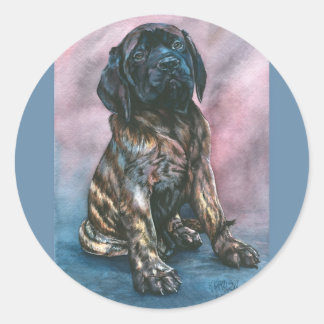 Baby Brindle Mastiff Classic Round Sticker