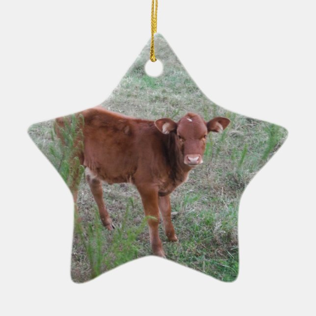 Baby Brown Cow . Ceramic Tree Decoration (Front)