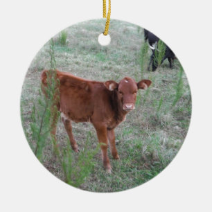 Baby Brown Cow . Ceramic Tree Decoration