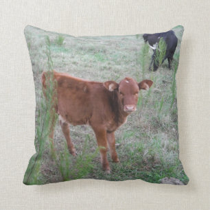 Baby Brown Cow. Cushion
