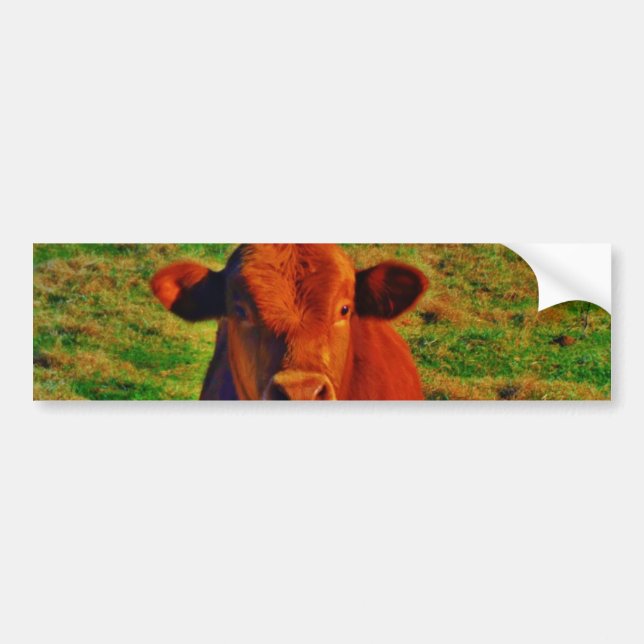 BABY BROWN COW EATING BUMPER STICKER (Front)