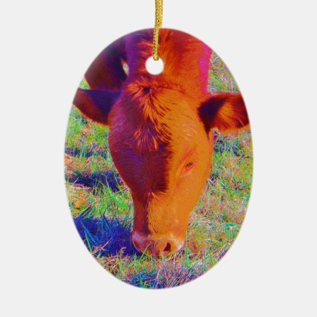 Baby Brown Cow face. RAINBOW GRASS Ceramic Tree Decoration (Front)