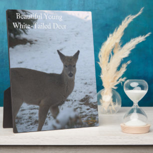 Baby Buck White-Tailed Deer Snow EASEL Plaque
