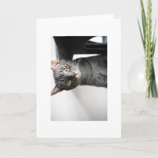 Baby Bug Card