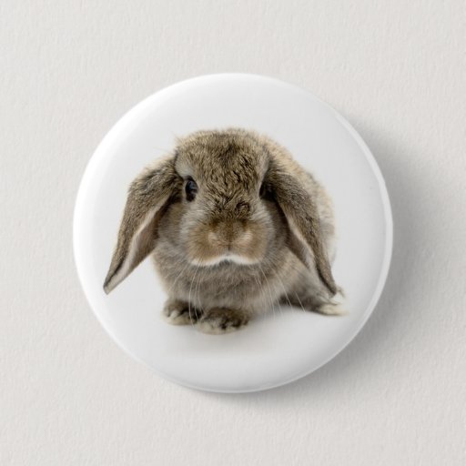 Image of Baby Bunny 6 Cm Round Badge