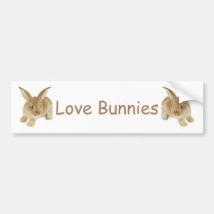 BABY BUNNY BUMPER STICKER