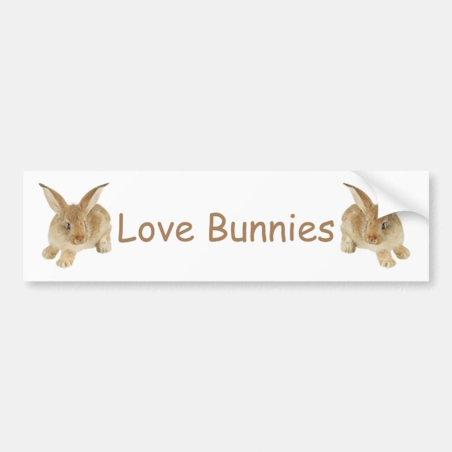 BABY BUNNY BUMPER STICKER (Front)