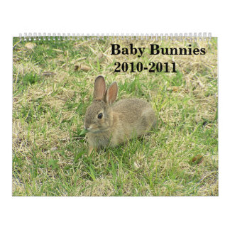 Baby Bunny Calendar 2010-2011