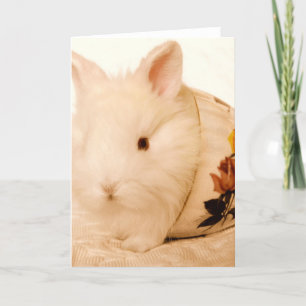 Baby Bunny Card