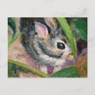Baby Bunny Hiding Postcard