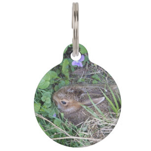 Baby Bunny in Nest Pet Tag