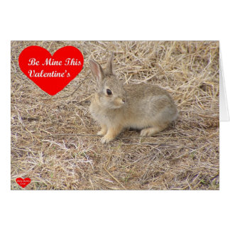 Baby Bunny Love 1 Card
